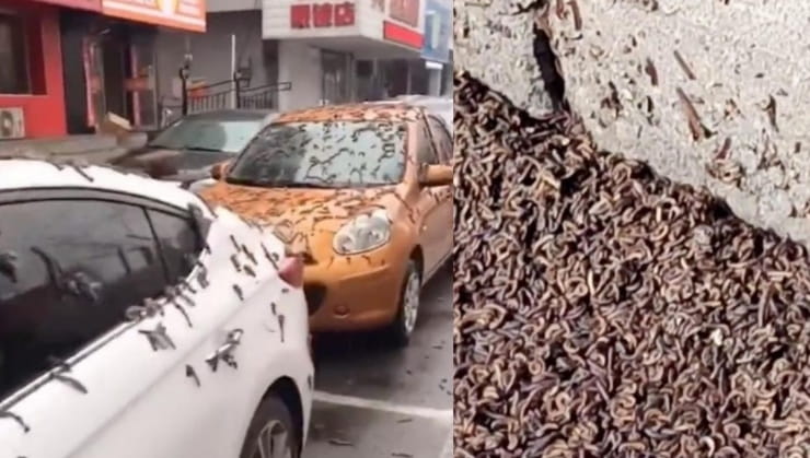 Sosyal medyada paylaşılan bir videoda tüm araç ve caddeleri yağmur