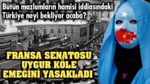Fransa Senatosu Uygur köle emeğinin ithalatını yasakladı