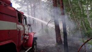 Bakanlık yaptığı açıklamada; “Abay bölgesindeki yangını söndürmek için operasyon karargahının