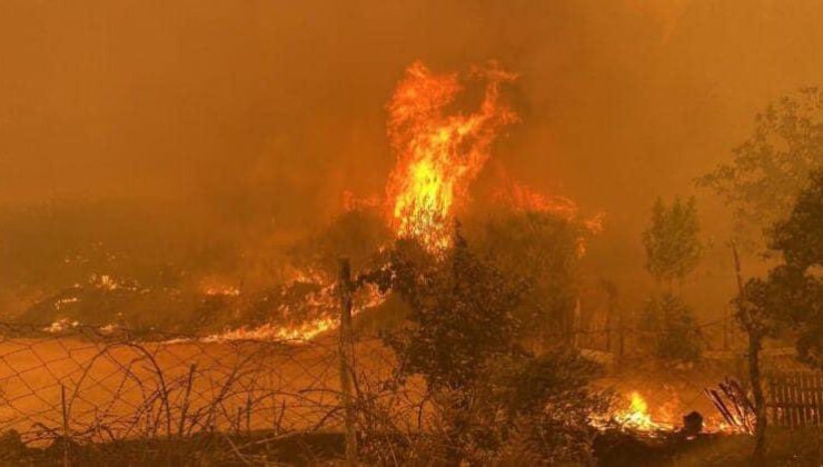 Çanakkale’deki orman yangınında son durum: İlerlemesi durduruldu