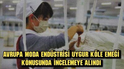 Yeni bir rapora göre, Avrupa