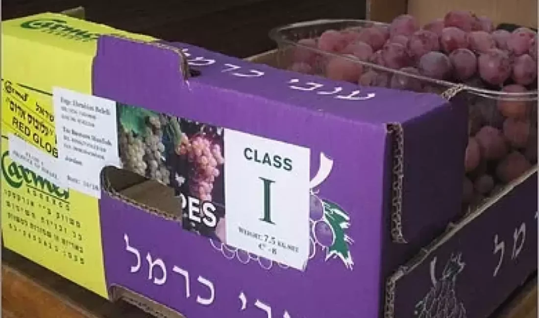 İşgalci israil Tarım Bakanlığı'nın resmi verileri, Gazze'ye yönelik savaşın başlamasından