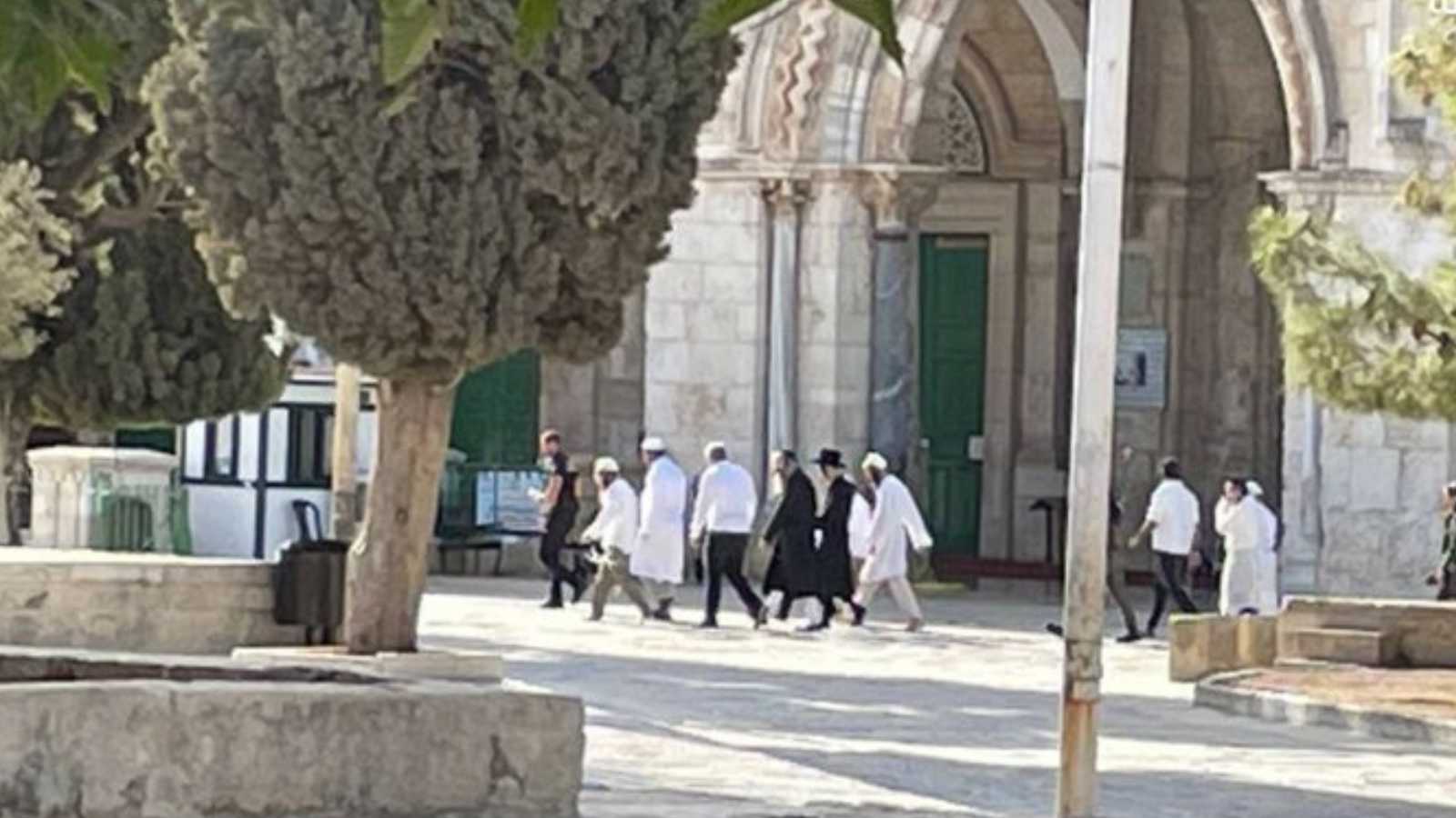 yerlesimci-teroru5660a