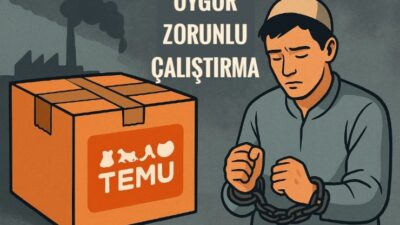 Son yıllarda, Çinli bir çevrimiçi pazar yeri olan Temu, yalnızca