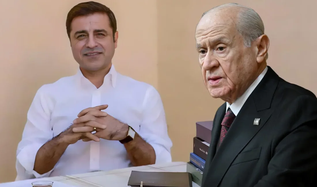 MHP Genel Başkanı Devlet Bahçeli, Avrupa İnsan Hakları Mahkemesi'nin (AİHM)
