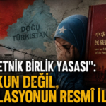 doğu-türkistan2954