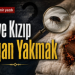 hasan-karademir-pireye-kızıp47