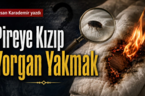 hasan-karademir-pireye-kızıp47