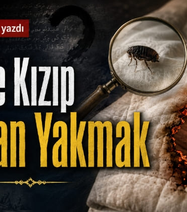 hasan-karademir-pireye-kızıp47