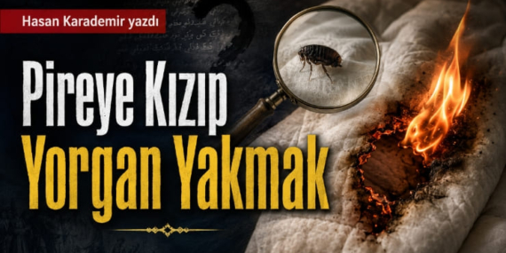 hasan-karademir-pireye-kızıp47