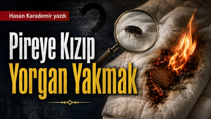 hasan-karademir-pireye-kızıp47