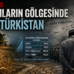 rakamlarin-golgesinde-dogu-turkistan81