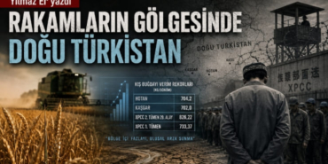 rakamlarin-golgesinde-dogu-turkistan81