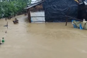 rohingya59370