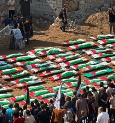 gazze655